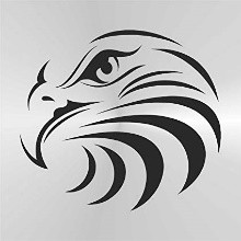 EAGLE VAC SERVICES LLC